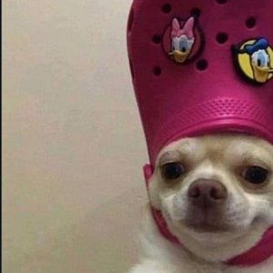 Meet your Posher, Akasha